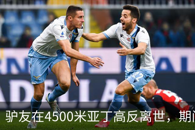 驴友在4500米亚丁高反离世，期间姐姐全网求免费直升机，牧民报价1万被她拉黑